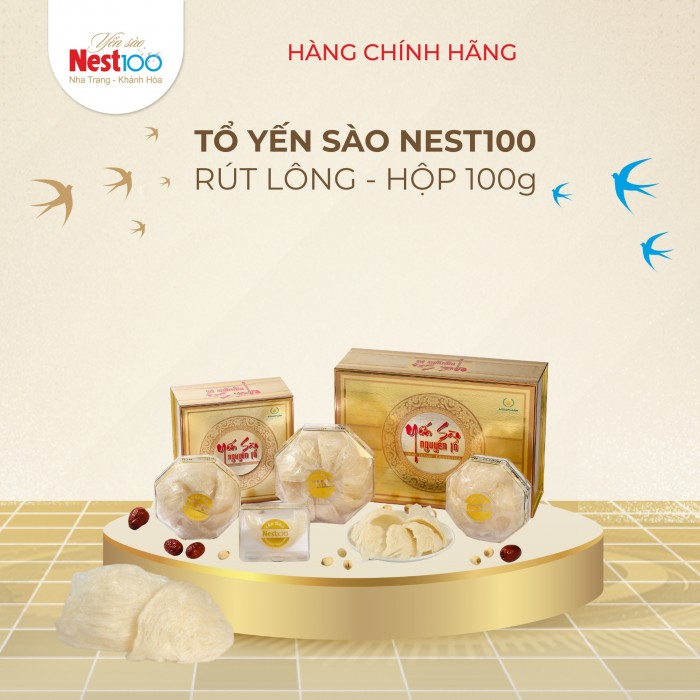 Yến tổ rút lông thượng hạng Nest100