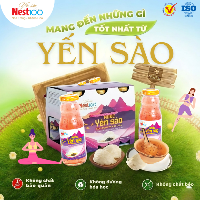 Yến sào Nest100 Collagen & hạt chia